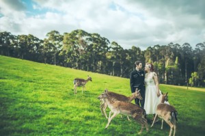 More photos from Bec s beautiful wedding at Gum Gully Farm photos by Brown Paper Parcel 